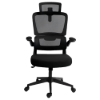 Imagem de CADEIRA OFFICE REDRAGON HELA PRETO C214-B