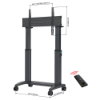 Imagem de SUPORTE PEDESTAL NORTH BAYOU 75" A 100" COM MOTORIZACAO (136,4KG) VESA 1000X600 - T70/GF100